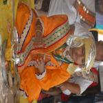 Vraj-Yatra-2014- (2311)